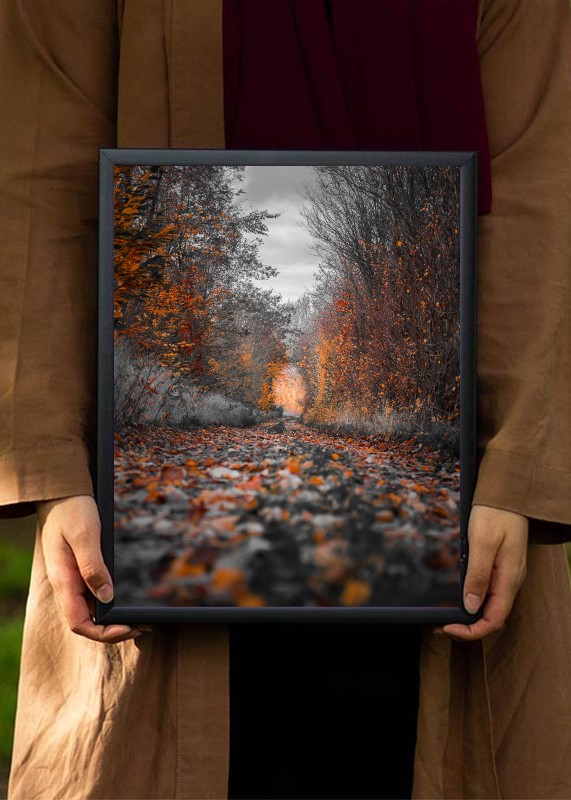 PLAKAT S MOTIVEM NELORA