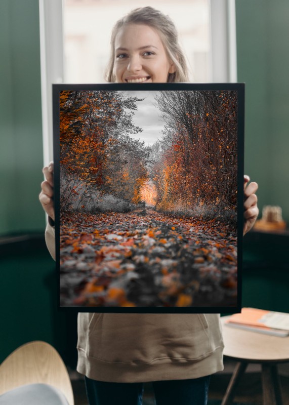 PLAKAT S MOTIVEM NELORA