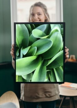 kryt s motivem nephara