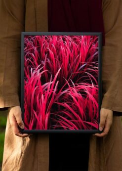 plakat s motivem nerano