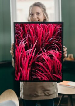 plakat s motivem nerano