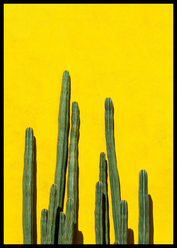 plakat s motivem Airinis