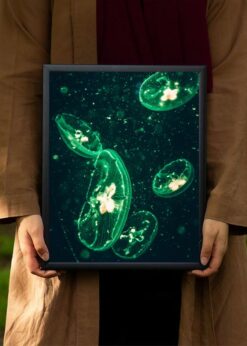 plakat s motivem Caleanor