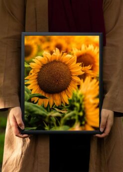 plakat s motivem Calola