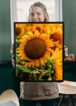 plakat s motivem Calola