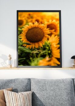 plakat s motivem Calola