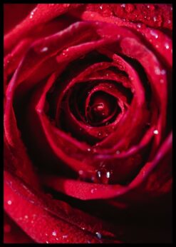 plakat s motivem aeroe