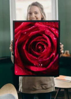 plakat s motivem aeroe