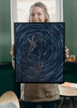 plakat s motivem amarylis