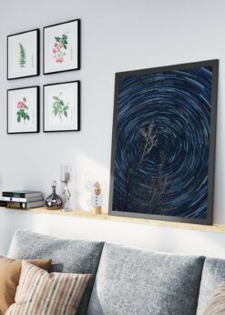 plakat s motivem amarylis