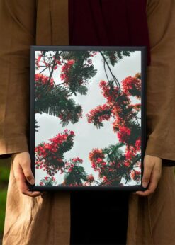 plakat s motivem arisea