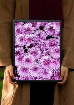 plakat s motivem celynore