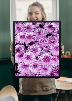 plakat s motivem celynore