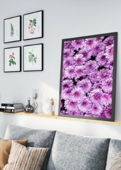 plakat s motivem celynore