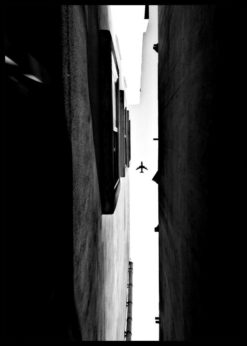 plakat s motivem dhonis