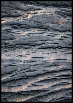 plakat s motivem disana