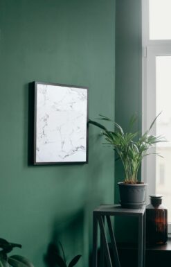 plakat s motivem neliane