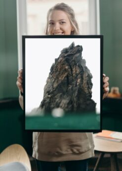 plakat s motivem nellane