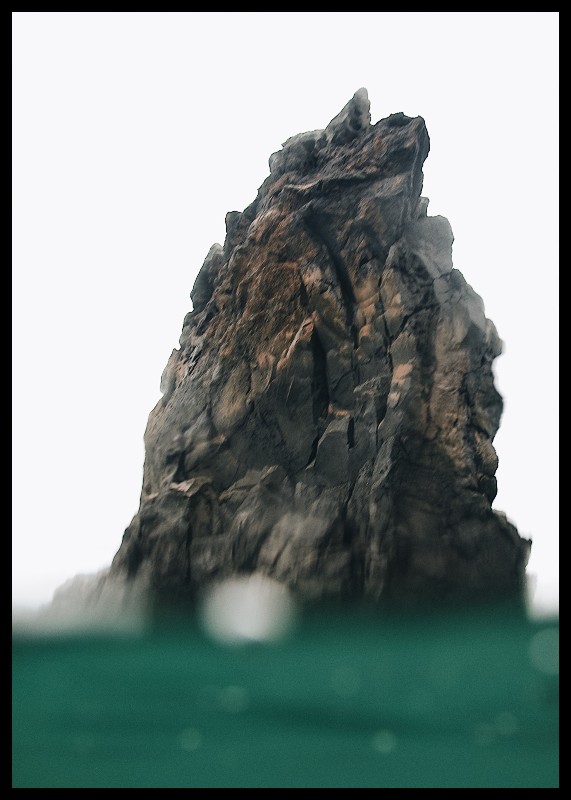 plakat s motivem nellane