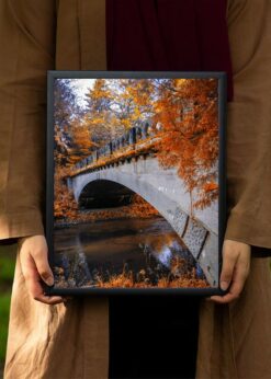 plakat s motivem nypheris