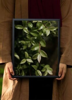 plakat s motivem nyrasis