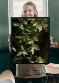 plakat s motivem nyrasis