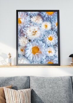 plakat s motivem nyreanor