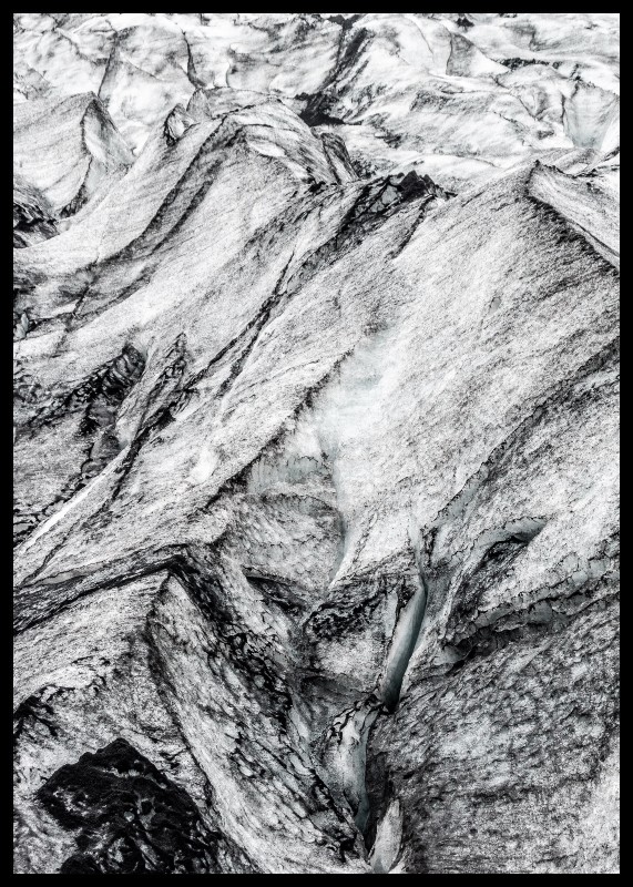 plakat s motivem pelora