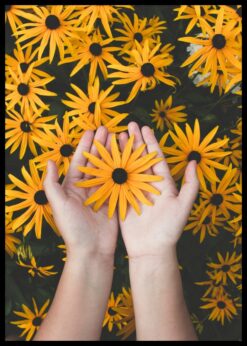 plakat s motivem perinne