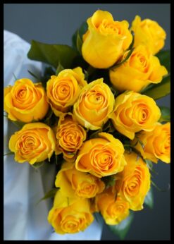 plakat s motivem savona