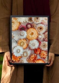 plakat s motivem soloah