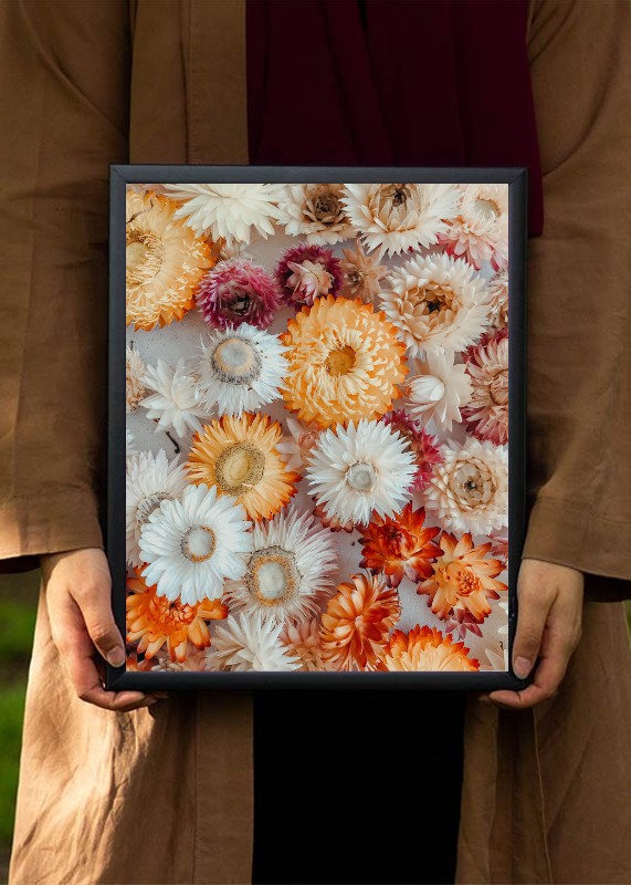 plakat s motivem soloah