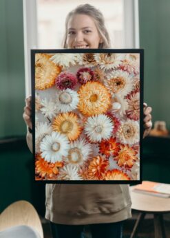 plakat s motivem soloah