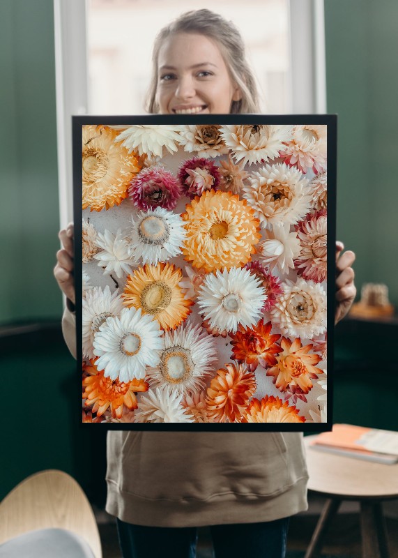 plakat s motivem soloah