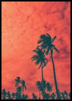 plakat s motivem tarat