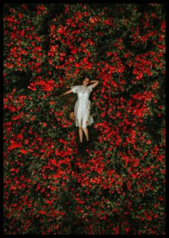 plakat s motivem teraris