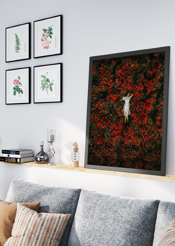 plakat s motivem teraris