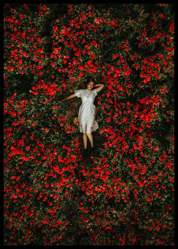 plakat s motivem teraris