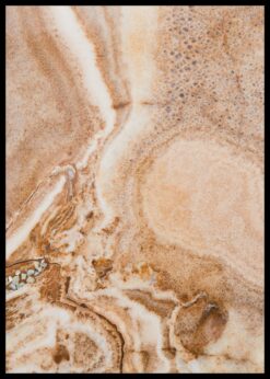 plakat s motivem tylasha