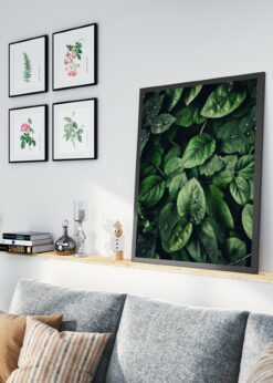 plakat s motivem typhie