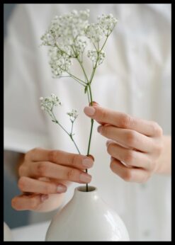 plakat s motivem typhyre