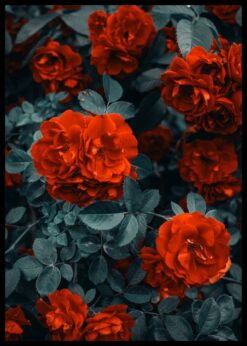 plakat s motivem tyrera