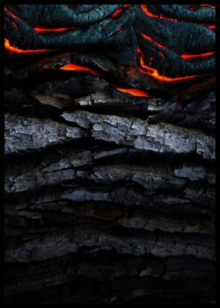 plakat s motivem tyrie