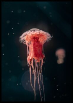 plakat s motivem uvarge