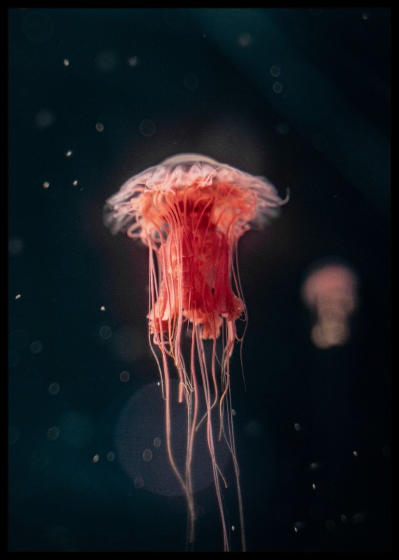 plakat s motivem uvarge