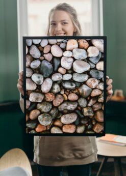 plakat s motivem vaelophis