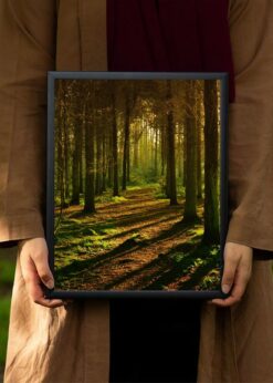 plakat s motivem velylis