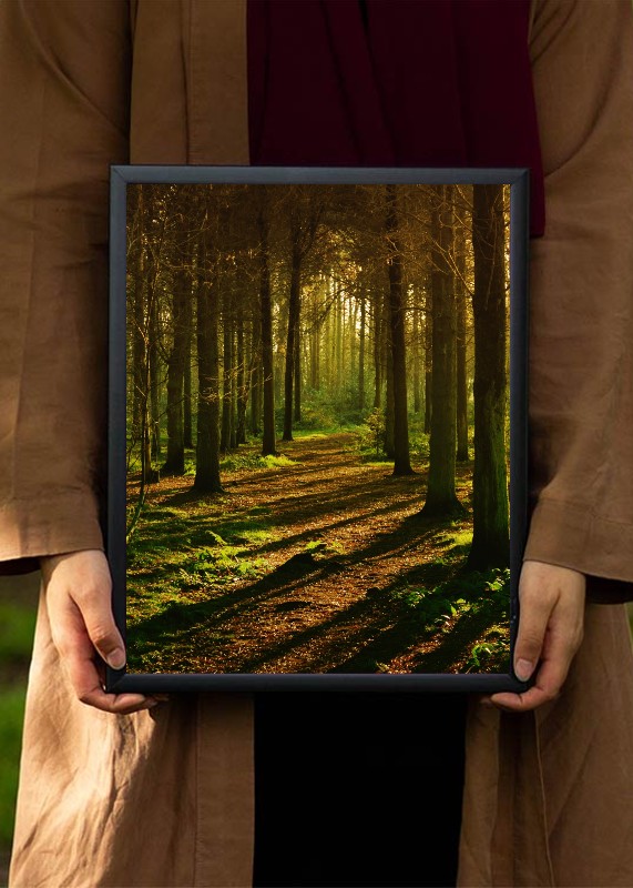 plakat s motivem velylis