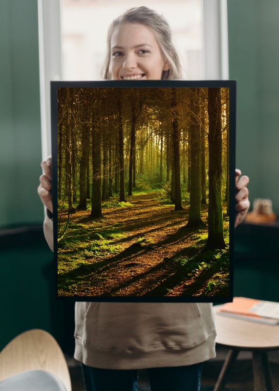 plakat s motivem velylis