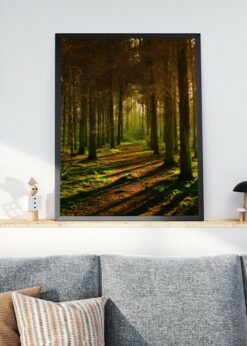 plakat s motivem velylis